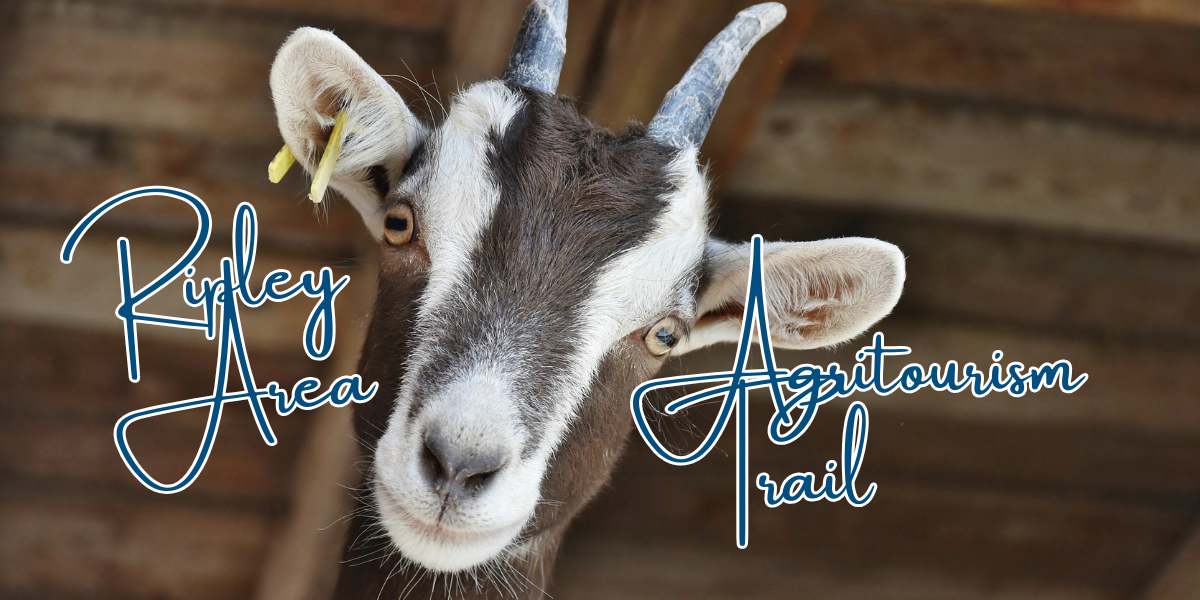 agritourism 2025