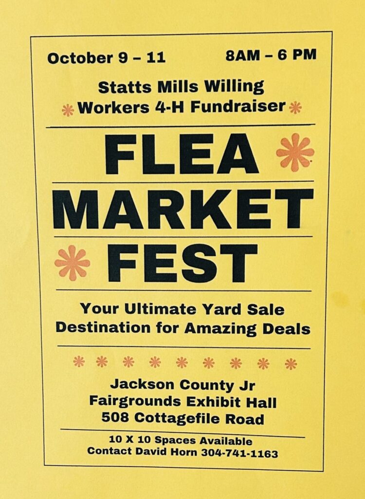 Flea Market Fest