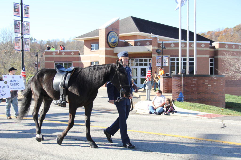 Ripley Veteran\'s Day Parade